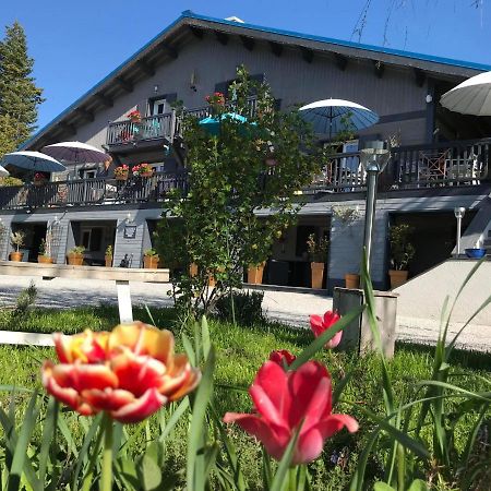 L'Alpen Roc Bed & Breakfast Caille Exterior foto